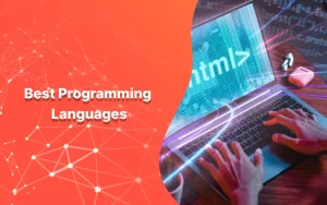 What is the meaning of programming languages?